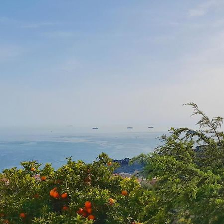 Ai Canarbin - Colline Di Lerici Kültér fotó